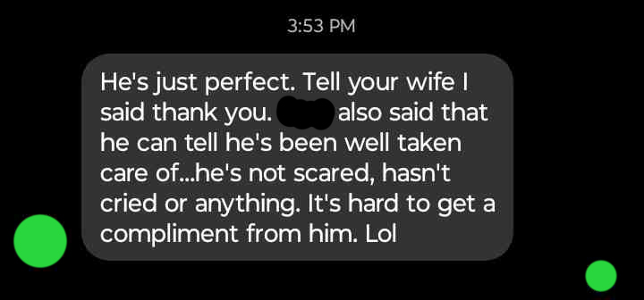 Follow-up message screenshot saying the puppy is perfect, well cared for, confident, and calm