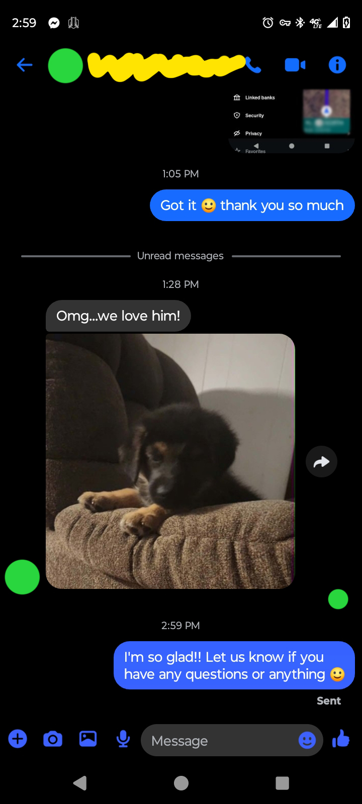 Message screenshot from the puppy's family saying, Omg, we love him, with a photo of the puppy relaxing on a couch
